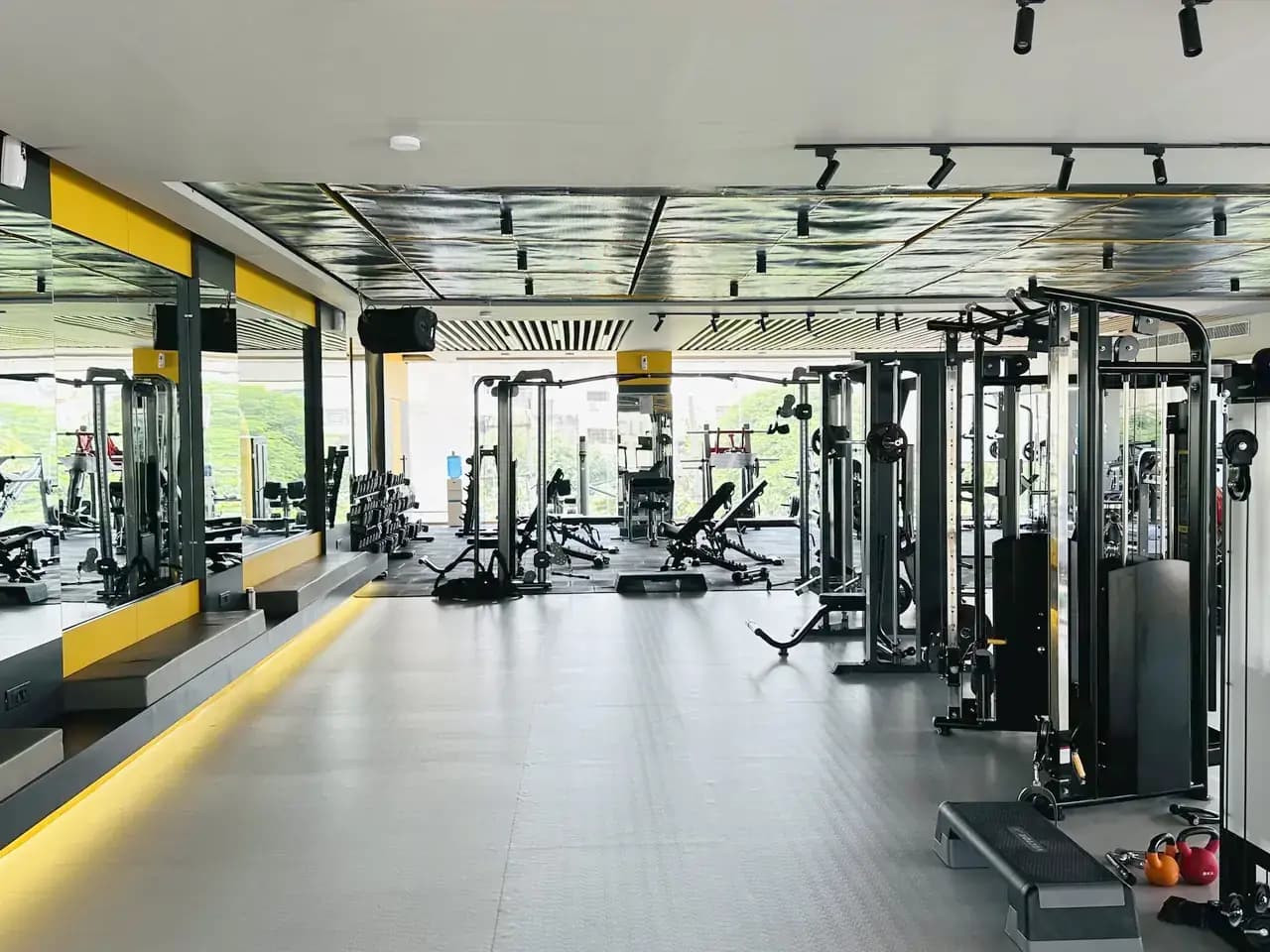 Functional & free weights